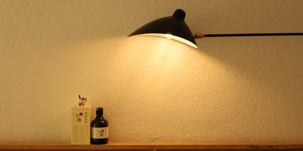 Photo resin wall lamp